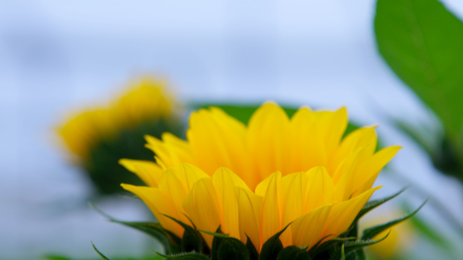 Evaluación de desempeño: equipo de diversificados logra el 96% de cubrimiento